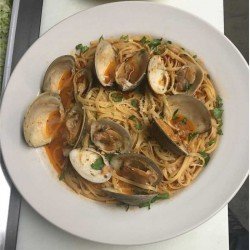 Little Neck Clams White